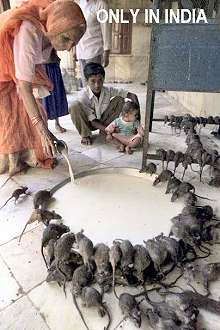 Sólo en India
