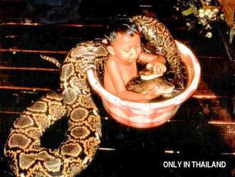 Sólo en Tailandia