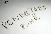 Pendejada punk
