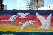 vuelo