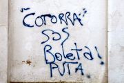 Cotorra